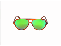 Occhiali da sole Revo Uomo PHOENIX - PHOENIX